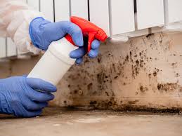 Mold Removal for HVAC Installations in Sneads, FL